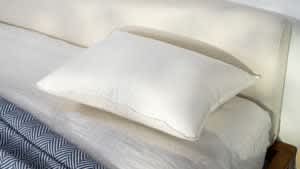 Brooklinen Down Pillow - Plush