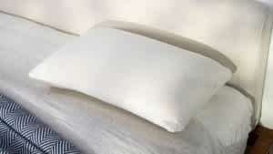 Standard Size Firm Profile Dunlop Latex Foam Pillow Affordable — Best Latex  Pillow, Latex Pillows UK