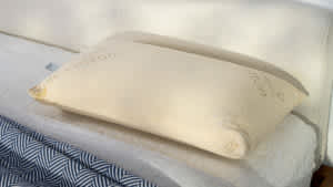 Naturepedic Organic Solid Latex Pillow