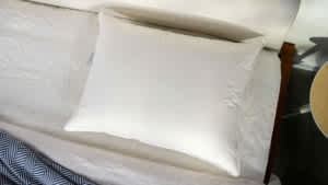 Quince Luxe Goose Down Pillow