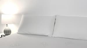 Custom Sleep Technology Talalay Latex Pillow
