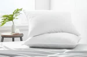 Linens & Hutch Plush Down-Alternative Gel-Fiber Pillow (2-Pack)