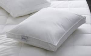 Quince Premium Down Alternative Gusset Pillow