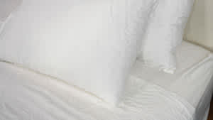 Cozy Earth Bamboo Pillowcases