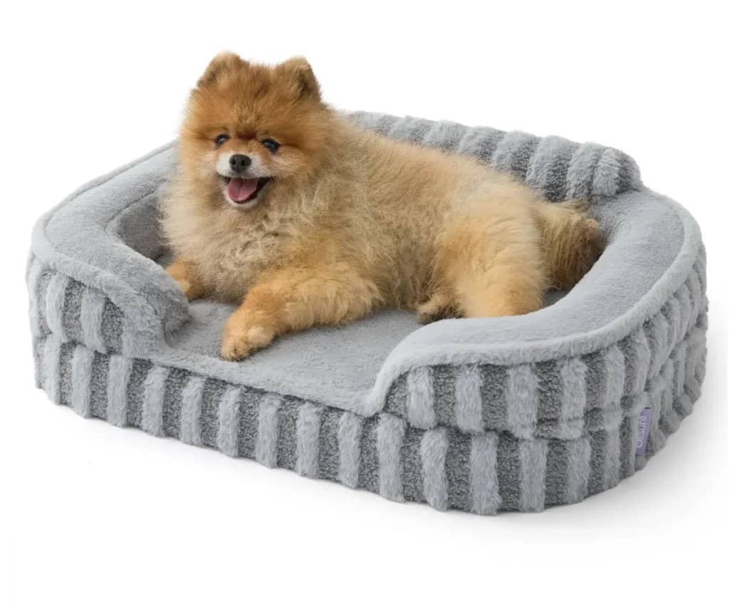 Best Dog Beds of 2026 - Lesure High-Back Orthopedic Dog Bed image 1