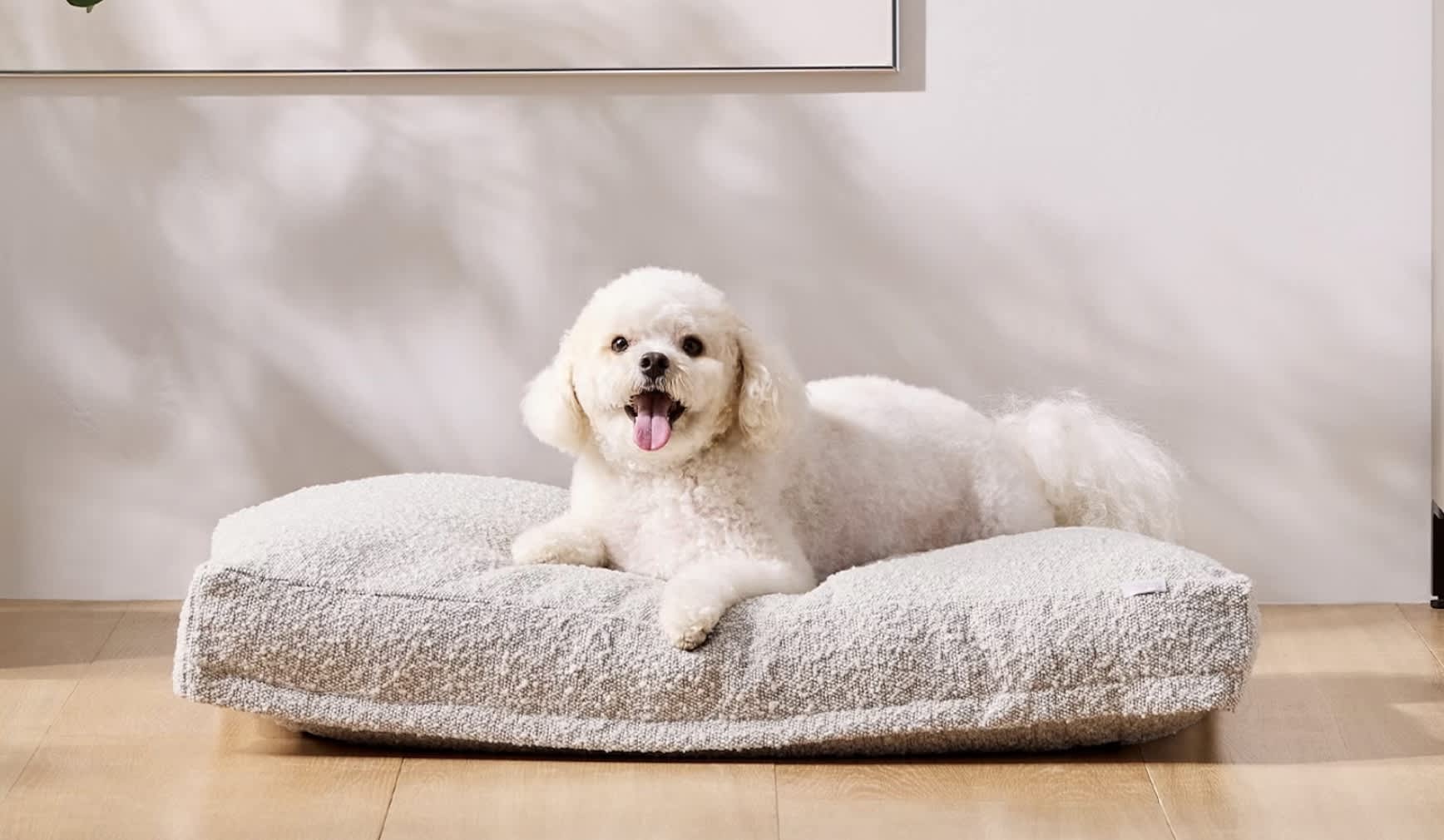 Best Dog Beds of 2026 - Saatva Dog Bed image 1