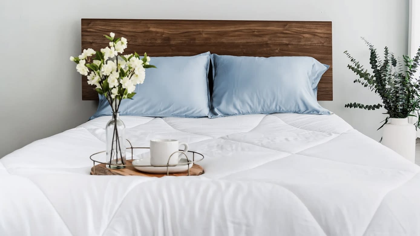 Best Comforters of 2026 - Eucalypso Dream Comforter image 1