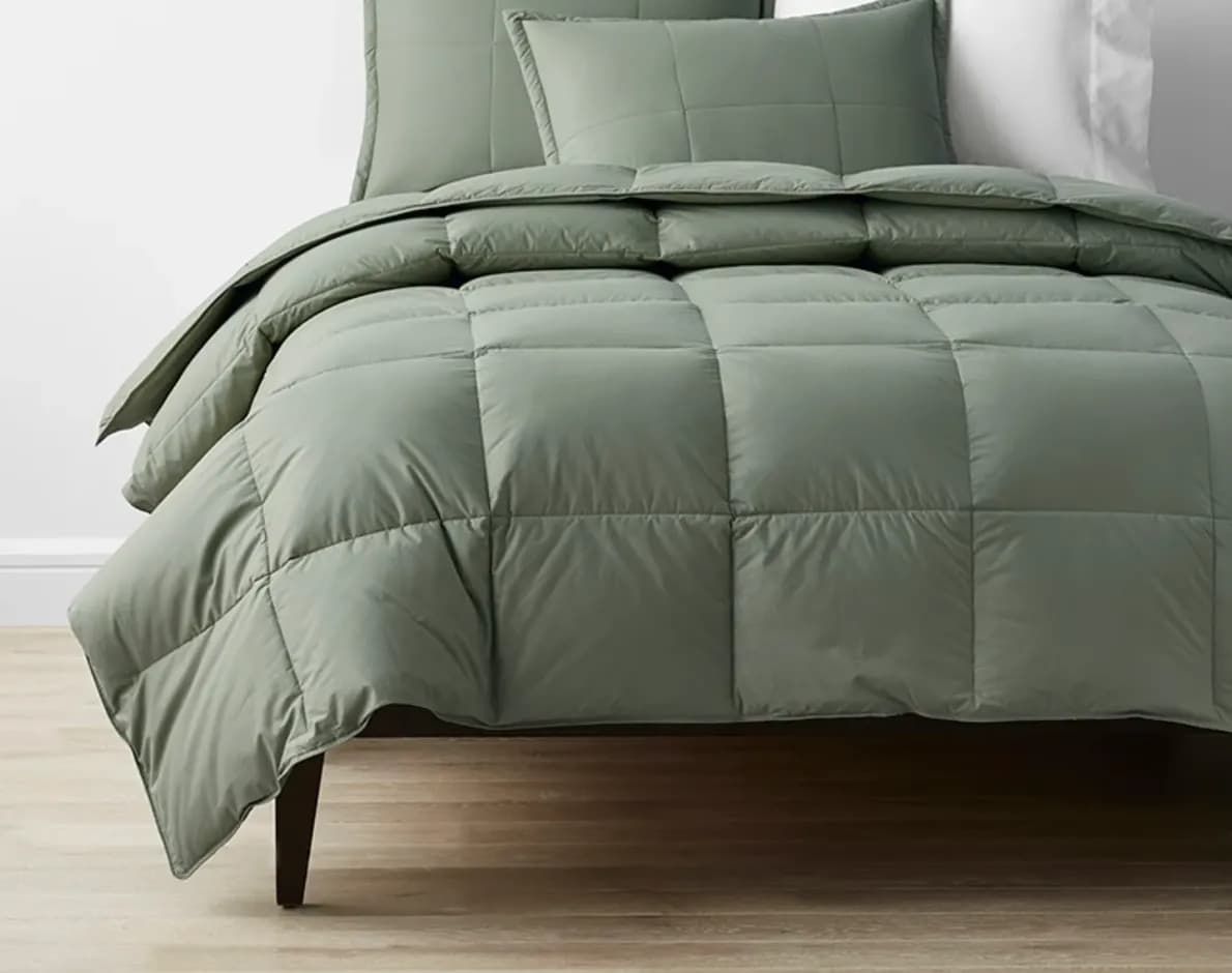 Best Comforters of 2026 - The Company Store LaCrosse Down Comforter image 1