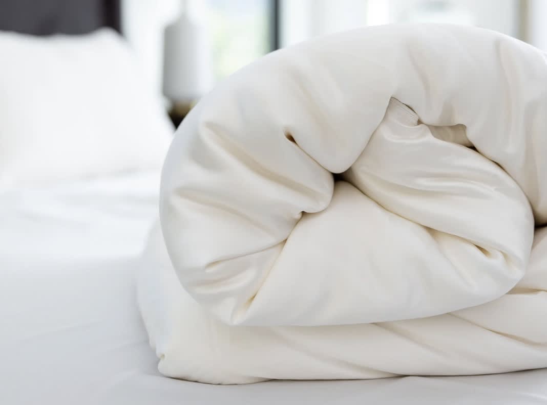 Best Down Alternative Comforters of 2026 - Cozy Earth Silk Comforter image 1