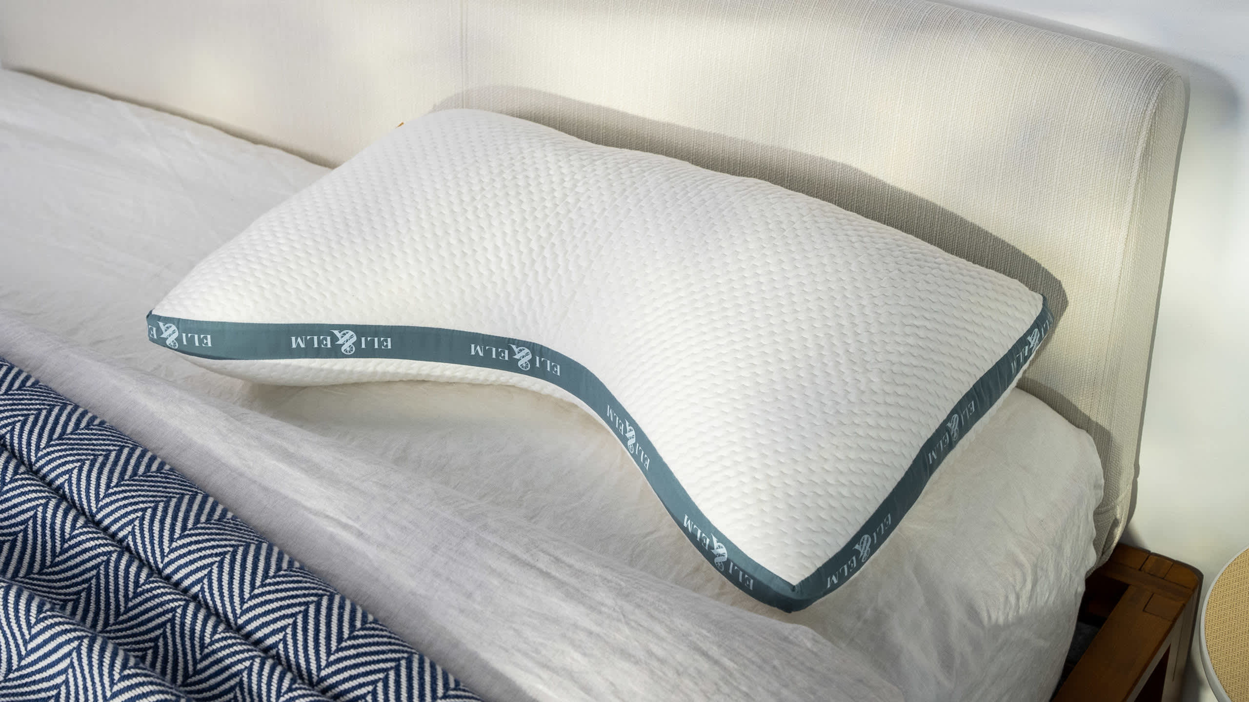 Best Pillows of 2026 - Eli & Elm Cotton Side-Sleeper Pillow image 1