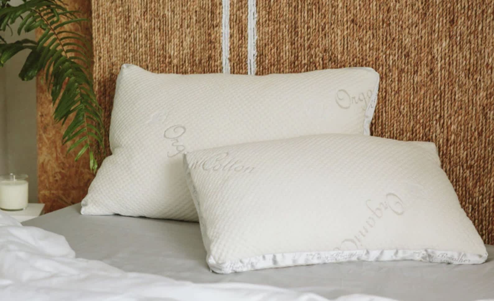 Best Latex Pillows of 2026 - Nest Bedding Easy Breather Natural image 1