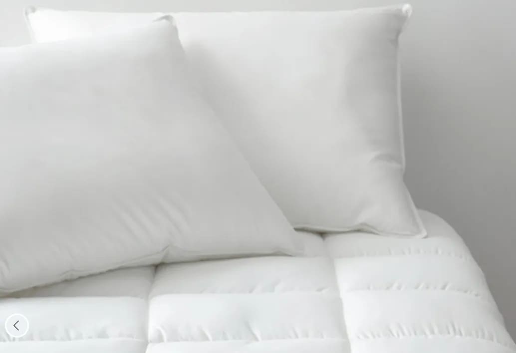 Best Pillows for Stomach Sleepers in 2026 - The Company Store Cool Zzz Deluxe Pillow image 1