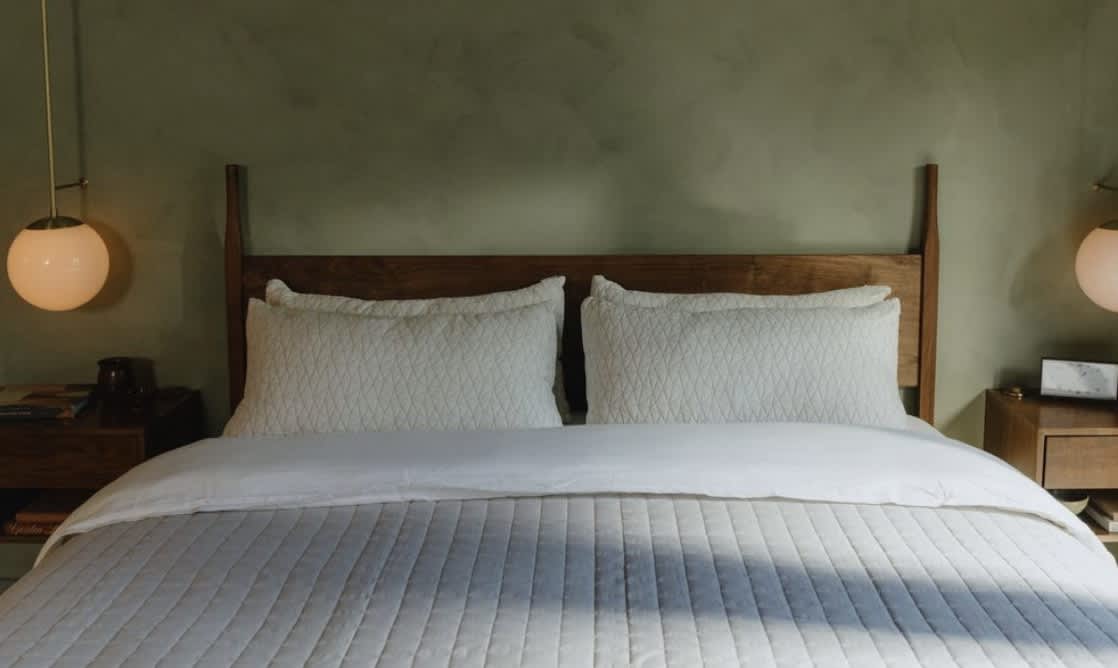 Best Memory Foam Pillow of 2026 - Coop Sleep Goods Original image 1