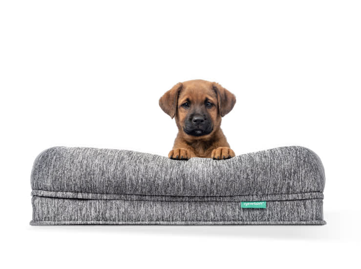 Best Dog Beds of 2026 - Newton Washable & Orthopedic Pet Bed image 1
