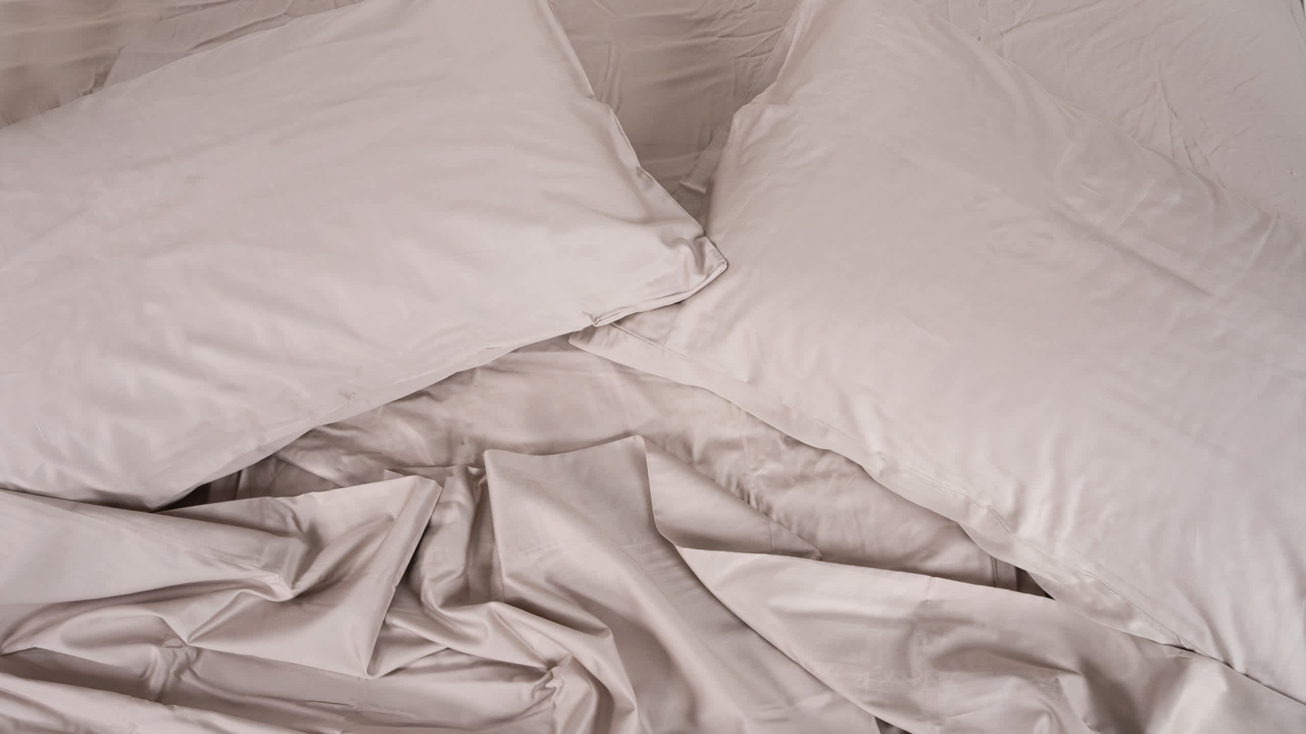 Best Egyptian Cotton Sheets of 2026 - Peacock Alley Emily Egyptian Cotton Sheet Set image 1