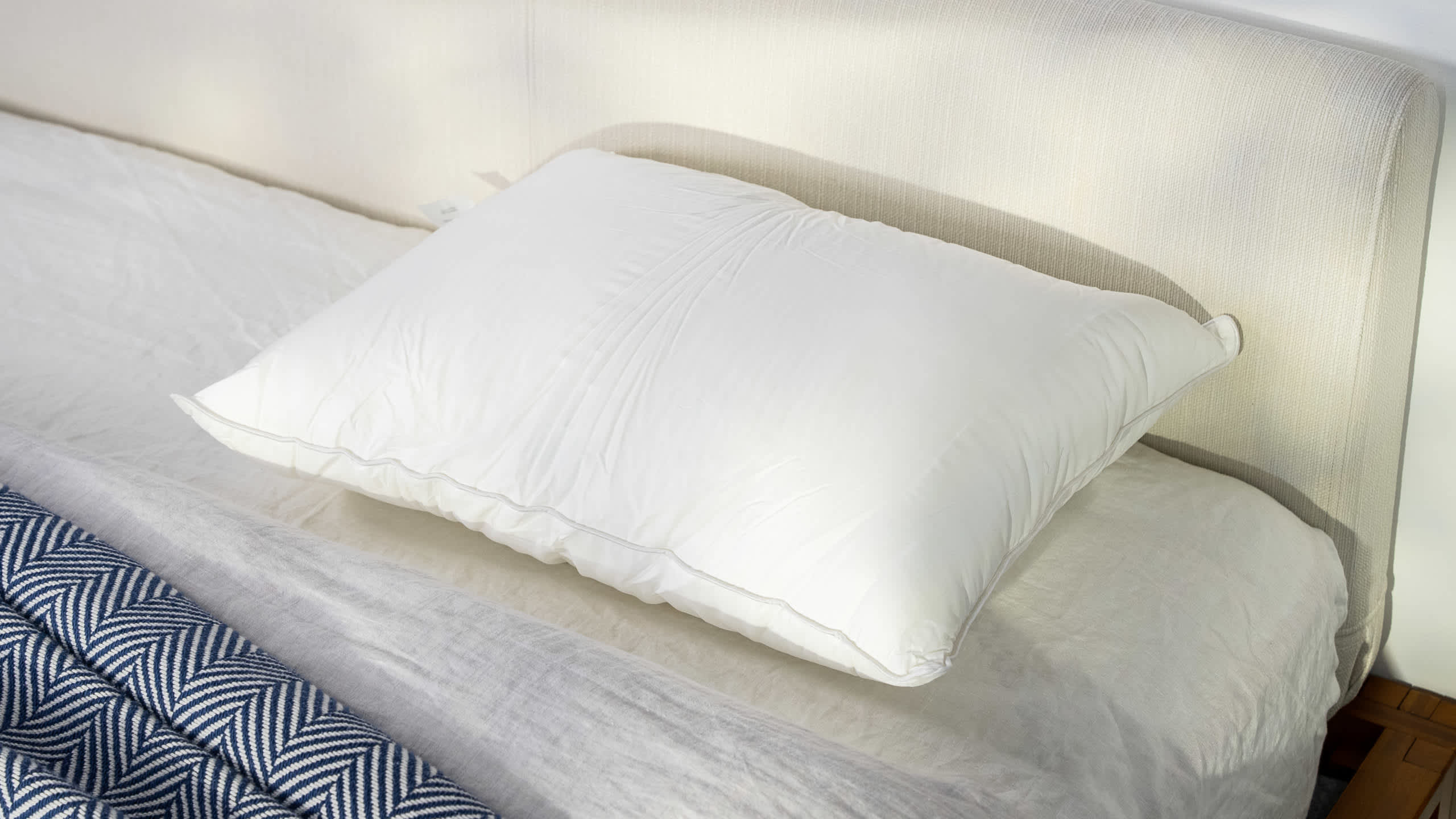 Best Pillows for Snoring in 2026 - Sweet Zzz Plant-Based Pillow image 1