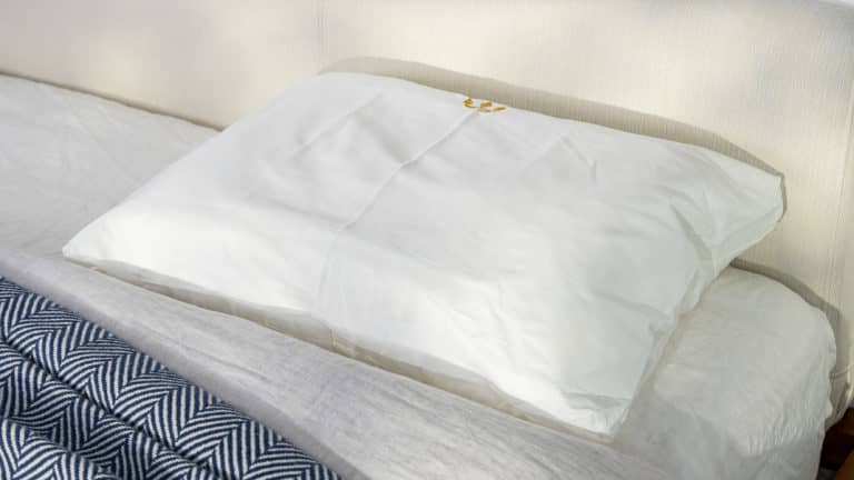 Best Pillows for Back Sleepers - Best Luxury - Noble Head Pillow