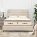 Best Organic Mattress of 2025 - Most Comfortable Mattress - PlushBeds Botanical Bliss