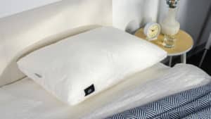 Silk & Snow Pillow