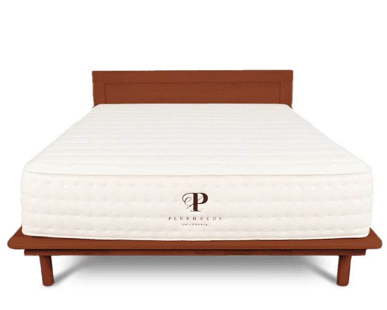 PlushBeds Botanical Bliss