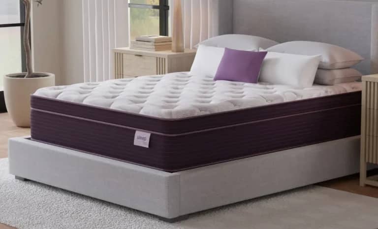 Raymour & Flanigan Plush Euro Pillowtop