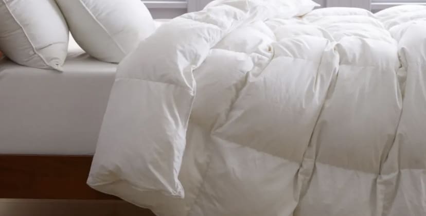 Product page photo of the Quince Luxe Goose Down Comforter