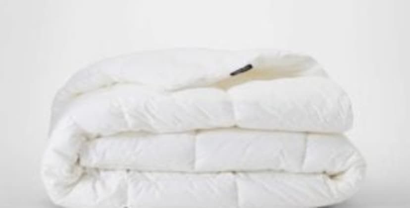 Silk & Snow Down Alternative Comforter