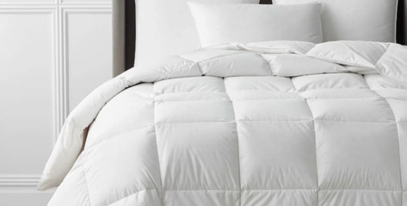 Brand photo of The Company Store Legends Hotel Organic Cotton Down Comforter