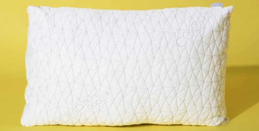 Coop Pillow Review