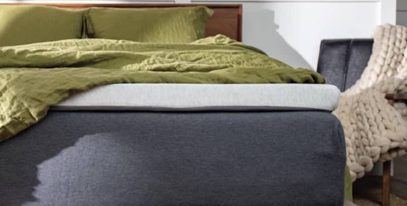 Brand product image of Muse Mattress Topper