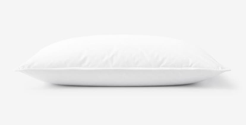 Product page photo of The Company Store's Essentials Better Down and Feather Pillow