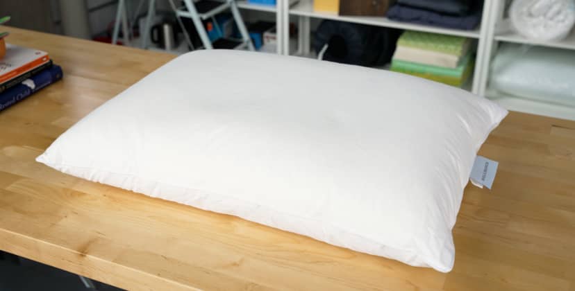 Best Organic Pillows - Best Hotel-Style - Boll & Branch Down Chamber Pillow - Soft