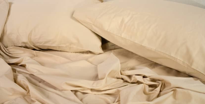 Royal Hotel Bedding King Sage Silky Soft Bed Sheets 100% Bamboo Viscose She