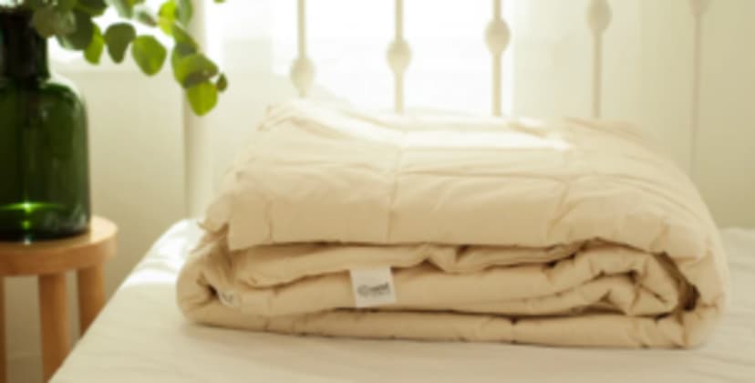 Nest Washable Wool Comforter