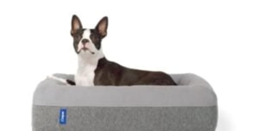 Casper Dog Bed