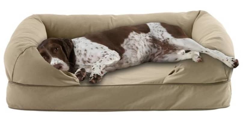 L.L.Bean Premium Dog Couch